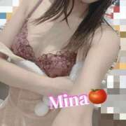 ヒメ日記 2024/12/19 12:30 投稿 みな トマトなび