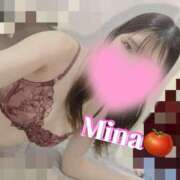 ヒメ日記 2024/12/26 16:01 投稿 みな トマトなび