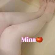 ヒメ日記 2025/01/02 10:45 投稿 みな トマトなび