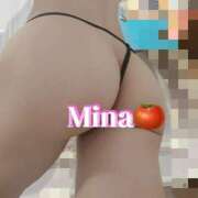 ヒメ日記 2025/03/20 10:02 投稿 みな トマトなび