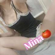 ヒメ日記 2025/03/20 15:30 投稿 みな トマトなび