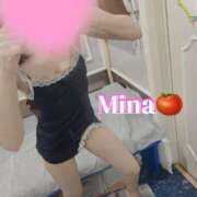 ヒメ日記 2025/04/19 10:03 投稿 みな トマトなび