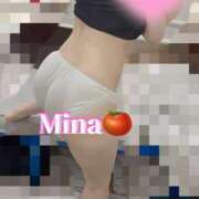 ヒメ日記 2025/04/29 23:15 投稿 みな トマトなび