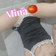 ヒメ日記 2025/04/30 08:00 投稿 みな トマトなび