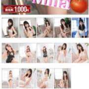 ヒメ日記 2025/06/10 17:01 投稿 みな トマトなび