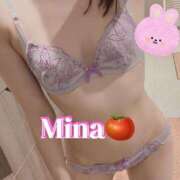 ヒメ日記 2025/06/13 12:04 投稿 みな トマトなび