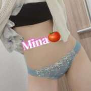 ヒメ日記 2025/06/21 10:02 投稿 みな トマトなび