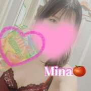 ヒメ日記 2025/06/22 16:30 投稿 みな トマトなび