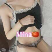 ヒメ日記 2025/06/30 17:01 投稿 みな トマトなび