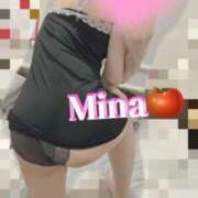 ヒメ日記 2025/07/03 08:01 投稿 みな トマトなび