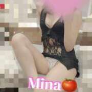 ヒメ日記 2025/07/15 13:45 投稿 みな トマトなび