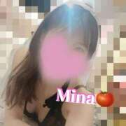 ヒメ日記 2025/07/20 00:30 投稿 みな トマトなび