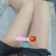 ヒメ日記 2025/07/21 06:15 投稿 みな トマトなび