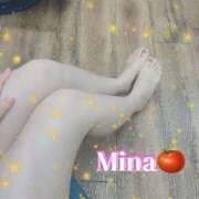 ヒメ日記 2025/07/21 16:00 投稿 みな トマトなび