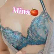 ヒメ日記 2025/07/24 17:00 投稿 みな トマトなび