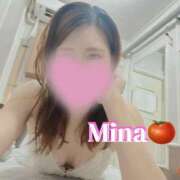 ヒメ日記 2025/07/31 08:02 投稿 みな トマトなび