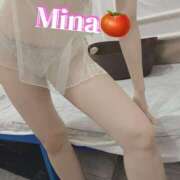 ヒメ日記 2025/07/31 23:30 投稿 みな トマトなび