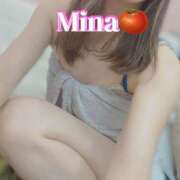 ヒメ日記 2025/08/02 16:45 投稿 みな トマトなび