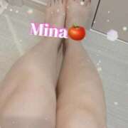 ヒメ日記 2025/08/24 10:01 投稿 みな トマトなび