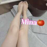 ヒメ日記 2025/08/24 20:30 投稿 みな トマトなび