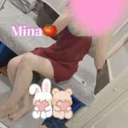 ヒメ日記 2025/08/25 07:30 投稿 みな トマトなび