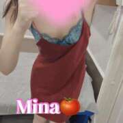 ヒメ日記 2025/11/21 15:30 投稿 みな トマトなび