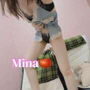 ヒメ日記 2025/12/07 08:02 投稿 みな トマトなび