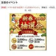 ヒメ日記 2026/01/03 09:30 投稿 みな トマトなび