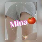 ヒメ日記 2026/01/23 15:00 投稿 みな トマトなび