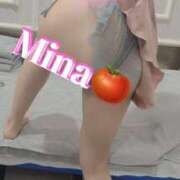 ヒメ日記 2026/01/31 18:04 投稿 みな トマトなび