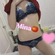 ヒメ日記 2026/02/28 10:03 投稿 みな トマトなび