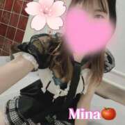 ヒメ日記 2026/03/13 14:30 投稿 みな トマトなび