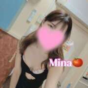 ヒメ日記 2026/03/20 17:45 投稿 みな トマトなび