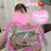 ヒメ日記 2026/04/11 18:31 投稿 みな トマトなび