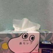 ヒメ日記 2025/11/19 12:01 投稿 もか 萌えカワ