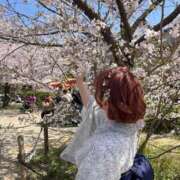 ヒメ日記 2025/11/23 07:32 投稿 もか 萌えカワ