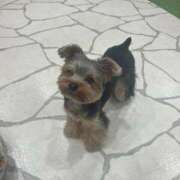 ヒメ日記 2026/01/16 10:52 投稿 もか 萌えカワ