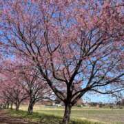 ヒメ日記 2026/03/23 11:32 投稿 もか 萌えカワ