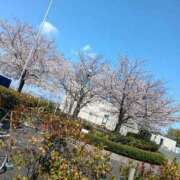 ヒメ日記 2025/04/04 11:56 投稿 ゆきえ 熟女の風俗最終章 新宿店