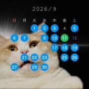 ヒメ日記 2026/09/01 08:07 投稿 雪村　ましろ やみつきエステ2nd札幌店