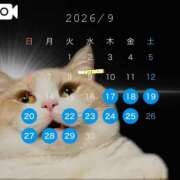 ヒメ日記 2026/09/18 20:17 投稿 雪村　ましろ やみつきエステ2nd札幌店