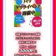 ヒメ日記 2025/08/08 15:30 投稿 池谷かおり 恋する妻たち