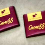 ヒメ日記 2025/03/08 19:20 投稿 泉（いずみ） やみつきの館　鶯谷店