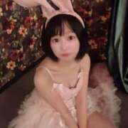 ヒメ日記 2024/12/07 12:07 投稿 てんか お姉京都