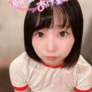 ヒメ日記 2024/12/30 16:53 投稿 てんか お姉京都