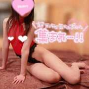 ヒメ日記 2025/01/03 07:18 投稿 てんか お姉京都