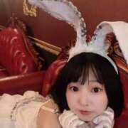 ヒメ日記 2025/01/06 21:52 投稿 てんか お姉京都