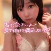 ヒメ日記 2025/02/12 14:22 投稿 てんか お姉京都