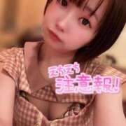 ヒメ日記 2025/02/22 20:02 投稿 てんか お姉京都