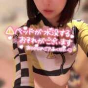 ヒメ日記 2025/02/23 15:22 投稿 てんか お姉京都